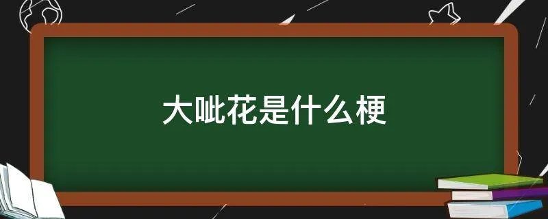 大呲花是什么梗