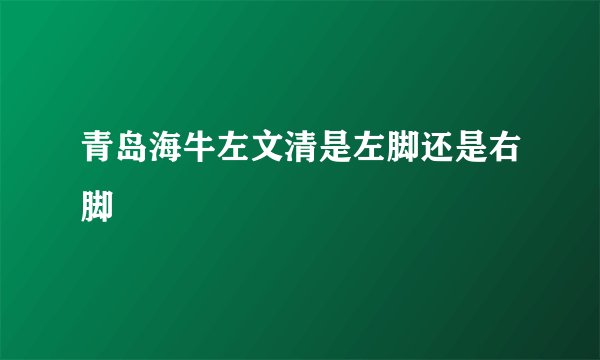 青岛海牛左文清是左脚还是右脚