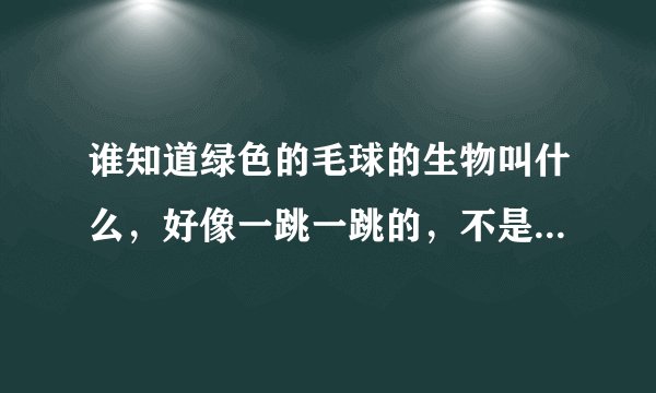 谁知道绿色的毛球的生物叫什么，好像一跳一跳的，不是赛尔号绿毛球，我记得叫史莱姆，搜出的图不是，类似