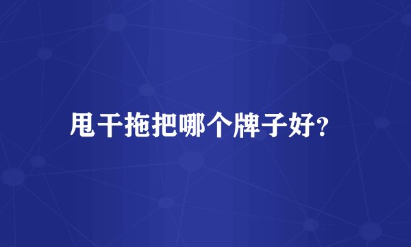 甩干拖把哪个牌子好?