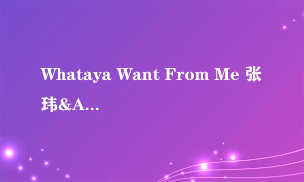 Whataya Want From Me 张玮&Adam Lambert 中文歌词