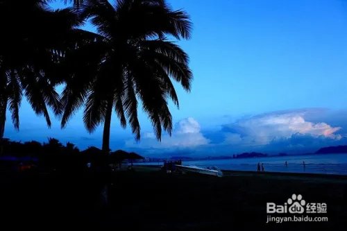 浪漫海岸攻略