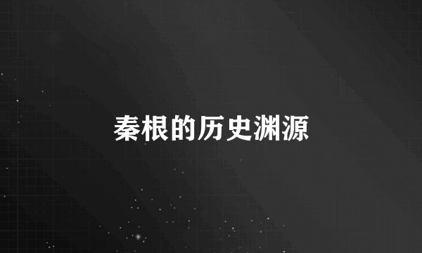 秦根的历史渊源