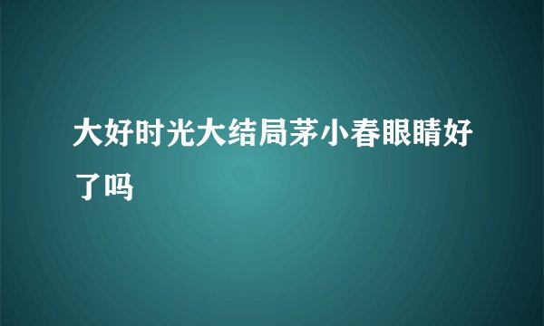 大好时光大结局茅小春眼睛好了吗