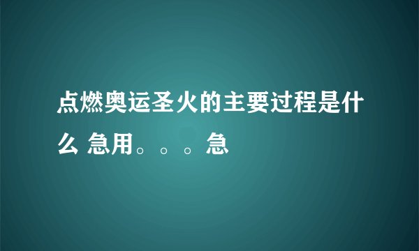 点燃奥运圣火的主要过程是什么 急用。。。急