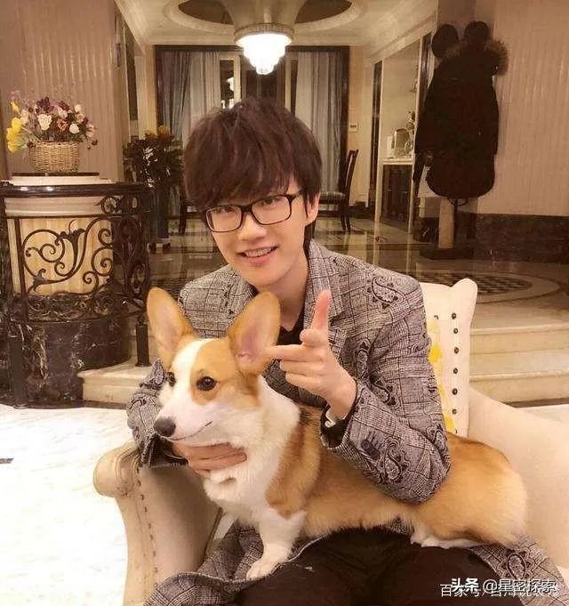 许嵩为什么不签约任何公司?