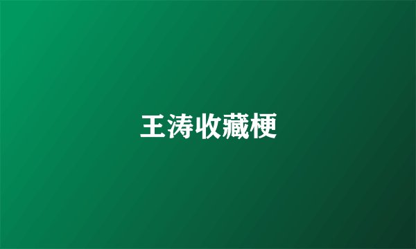 王涛收藏梗