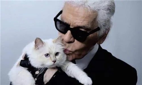 老佛爷去世后，那只继承了他21亿遗产的猫，如今生活得怎样？