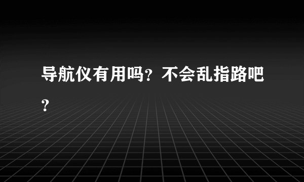 导航仪有用吗？不会乱指路吧？