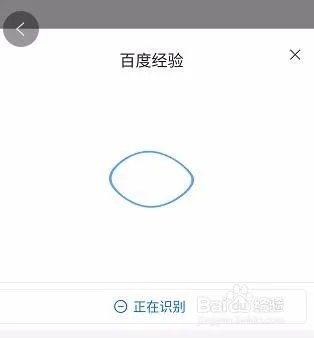 简单搜索冲顶神器