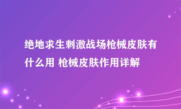 绝地求生刺激战场枪械皮肤有什么用 枪械皮肤作用详解