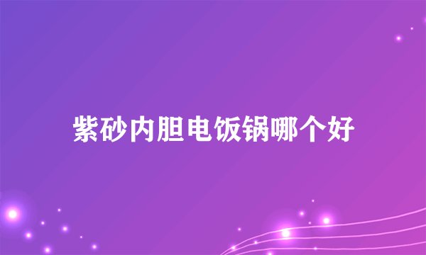 紫砂内胆电饭锅哪个好