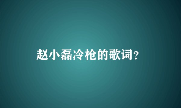 赵小磊冷枪的歌词？