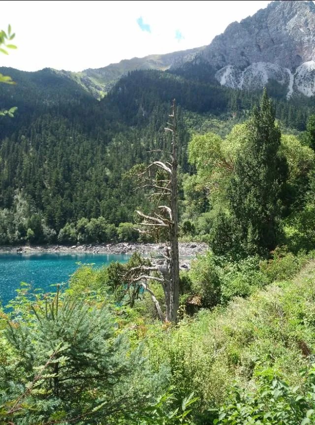 九寨沟地震过后又形成新的景点,你还会去吗?