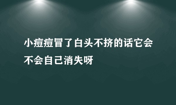 小痘痘冒了白头不挤的话它会不会自己消失呀