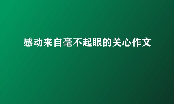 感动来自毫不起眼的关心作文
