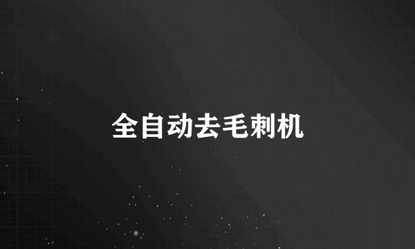 全自动去毛刺机