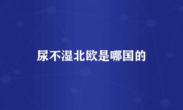 尿不湿北欧是哪国的