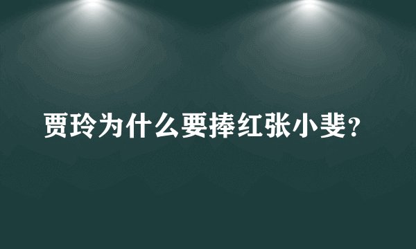 贾玲为什么要捧红张小斐？