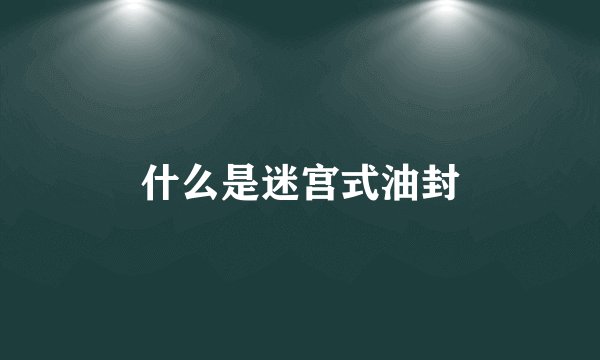 什么是迷宫式油封