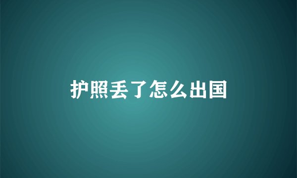 护照丢了怎么出国