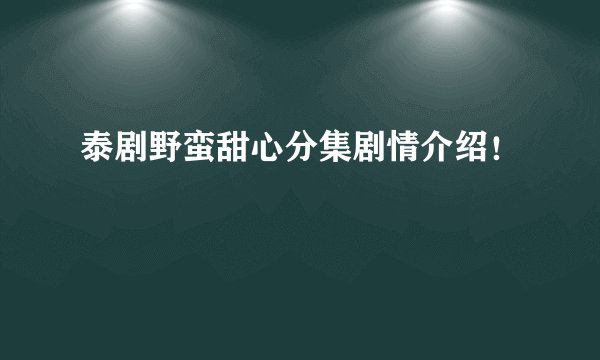 泰剧野蛮甜心分集剧情介绍！