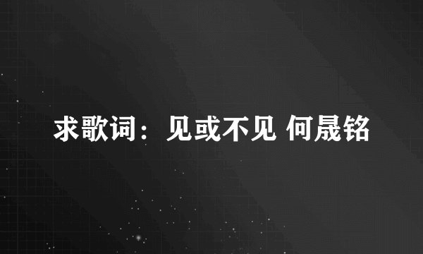 求歌词：见或不见 何晟铭