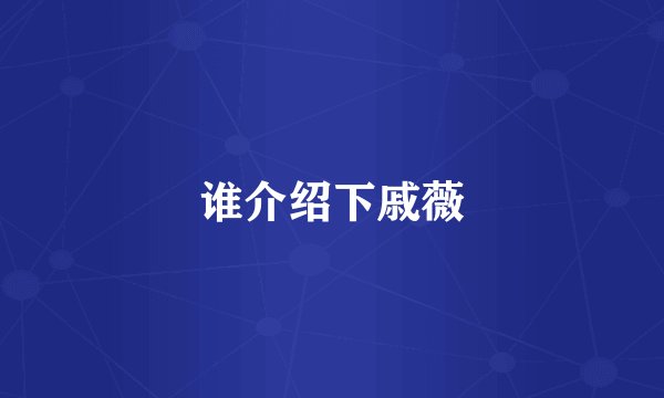 谁介绍下戚薇
