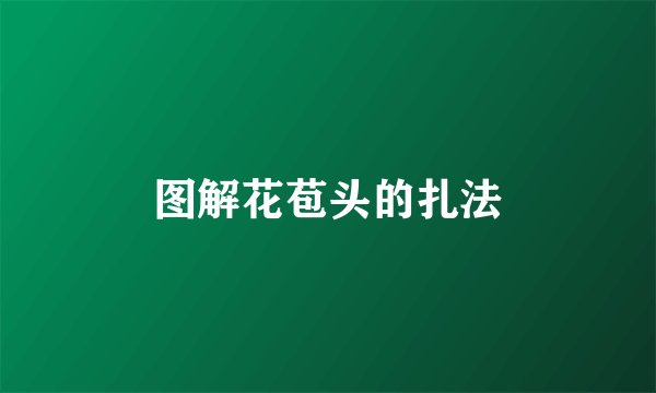 图解花苞头的扎法