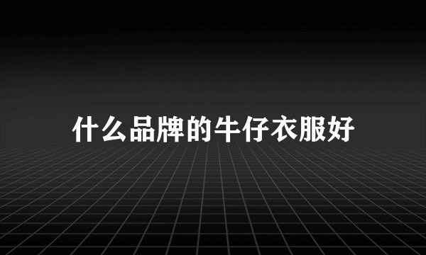 什么品牌的牛仔衣服好