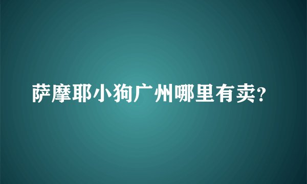 萨摩耶小狗广州哪里有卖？