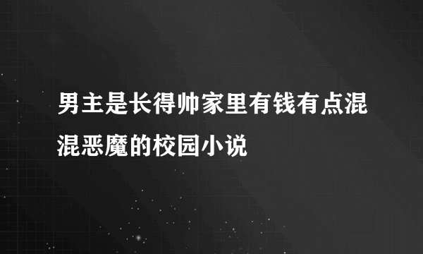 男主是长得帅家里有钱有点混混恶魔的校园小说