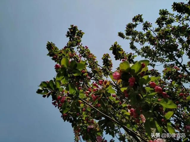 今年五一天津人能跨省旅游吗?