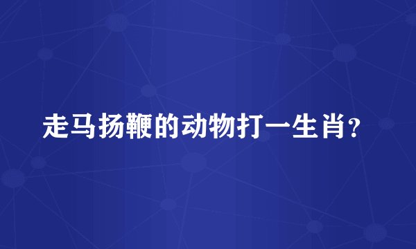 走马扬鞭的动物打一生肖？
