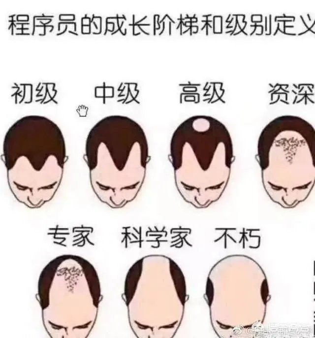 程序员高手和程序员菜鸟的区别是什么?