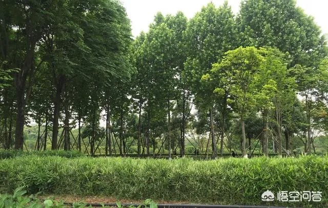 想在重庆主城买一套二手房,60-80万,三室的,请问哪里性价比高?