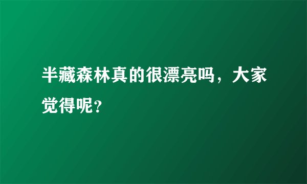 半藏森林真的很漂亮吗，大家觉得呢？