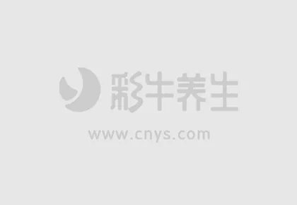 长期吸烟肺不好?多吃它清除体内十年毒素