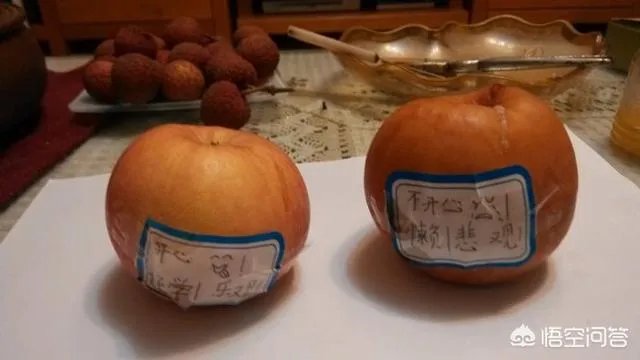 水知道答案是不是伪科学