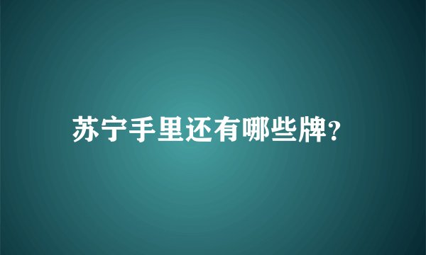 苏宁手里还有哪些牌？