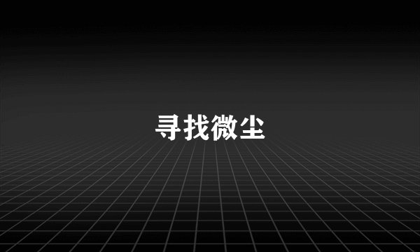 寻找微尘