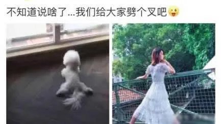 唐艺昕疑否认怀孕详情始末曝光(附唐艺昕张若昀相遇故事)