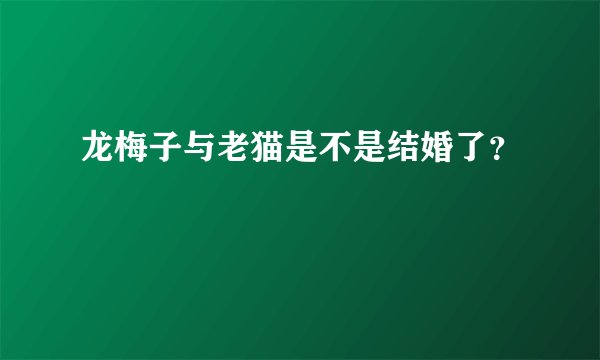 龙梅子与老猫是不是结婚了？
