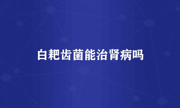 白耙齿菌能治肾病吗