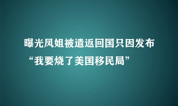曝光凤姐被遣返回国只因发布“我要烧了美国移民局”