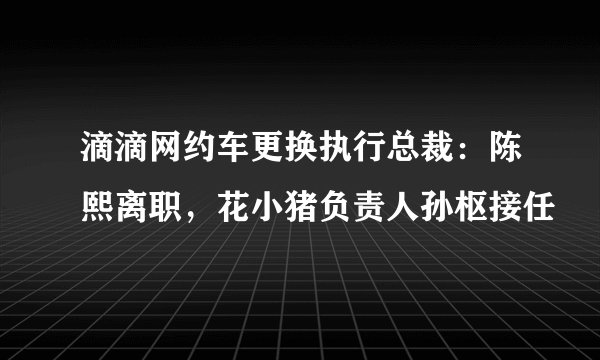 滴滴网约车更换执行总裁:陈熙离职,花小猪负责人孙枢接任