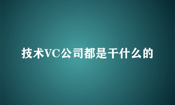 技术VC公司都是干什么的