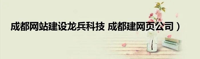 成都网站建设龙兵科技 成都建网页公司)
