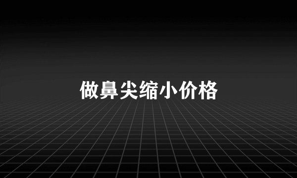 做鼻尖缩小价格