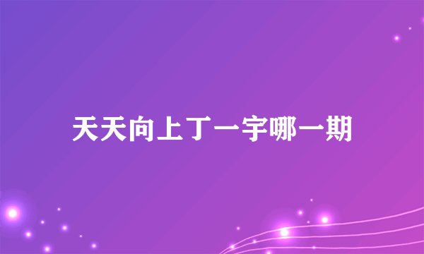 天天向上丁一宇哪一期